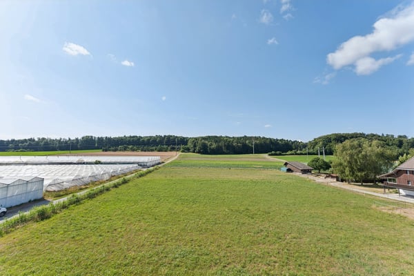 Zeitgemässes Loft mit freiem Blick auf die umliegenden Landwirtschafts 9