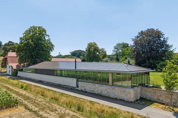 Leben im Schlosspark 2
