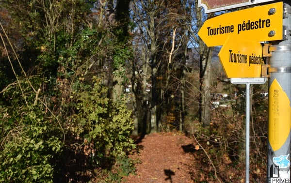 LE PRIVILEGE DE VIVRE DANS DU NEUF! Séduisant attique avec vue dégagée 9