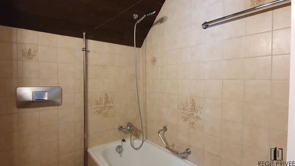 Appartement en duplex de 1.5 pièces 3