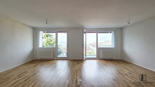 Appartement de 5.5 pièces refait à neuf avec vue sur le lac 3