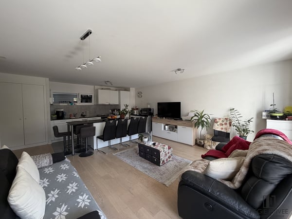 Bel appartement de 3 pièces avec terrasse 2