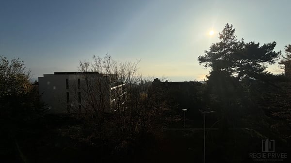 Appartement de 2.5 pièces avec balcon 5