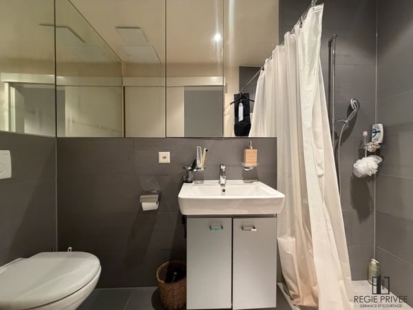 Magnifique loft au centre-ville de Lausanne 8