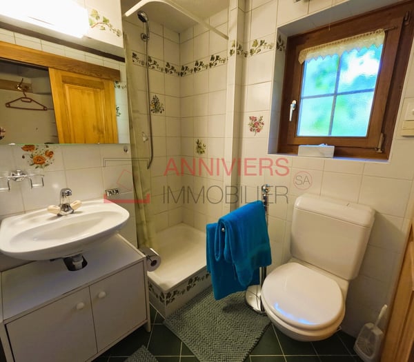 Chalet de caractère au coeur du Val d'Anniviers 8