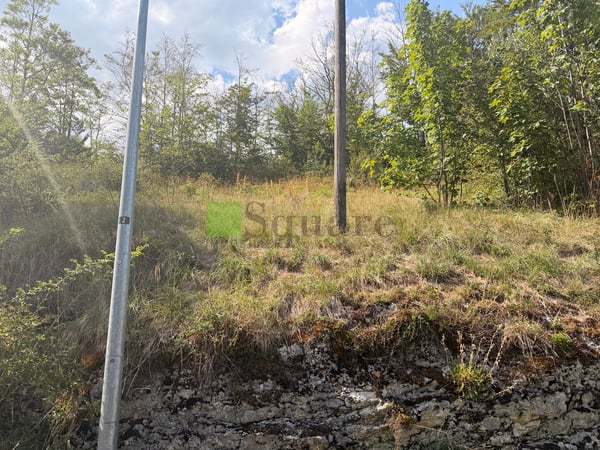 Joli terrain constructible 4