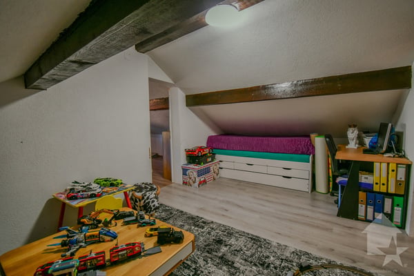 Grande maison familiale avec appartement attenant à Dorénaz 13