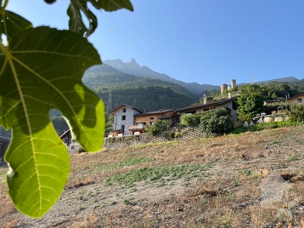 Appartement 4.5 pièces avec jardin de 208m2, nouvelle promotion 3