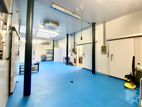 Halle industrielle de 5032 m3 + 32 garages box entre Sion et Sierre 5