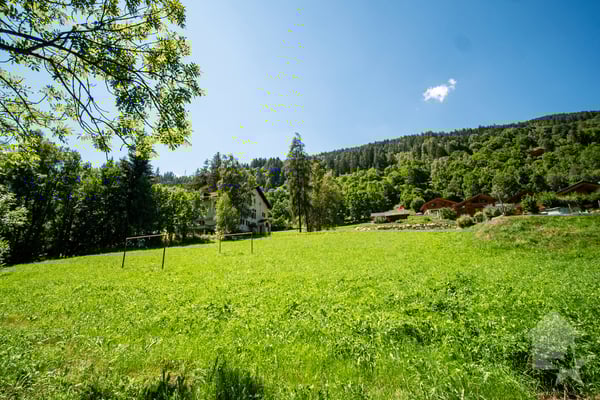 Majestueuse résidence de vacances - logement de groupe 3