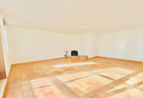 Spacieux appartement en terrasse, jardin d'hiver et 2 garages box ! 2