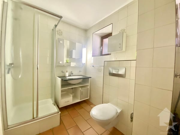 Spacieux appartement en terrasse, jardin d'hiver et 2 garages box ! 13