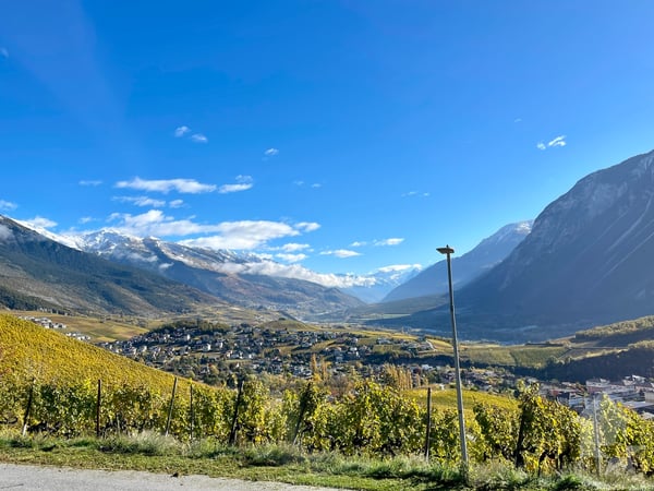 Promotion de 2 villas mitoyennes de 4.5 pces au calme, vue panoramique 9