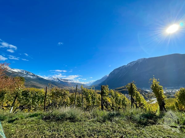 Promotion de 2 villas mitoyennes de 4.5 pces au calme, vue panoramique 8