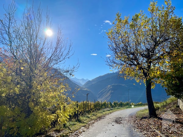 Promotion de 2 villas mitoyennes de 4.5 pces au calme, vue panoramique 7