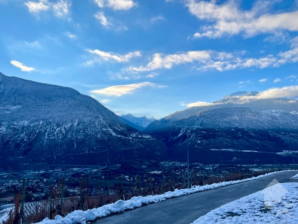 Promotion de 2 villas mitoyennes de 4.5 pces au calme, vue panoramique 3