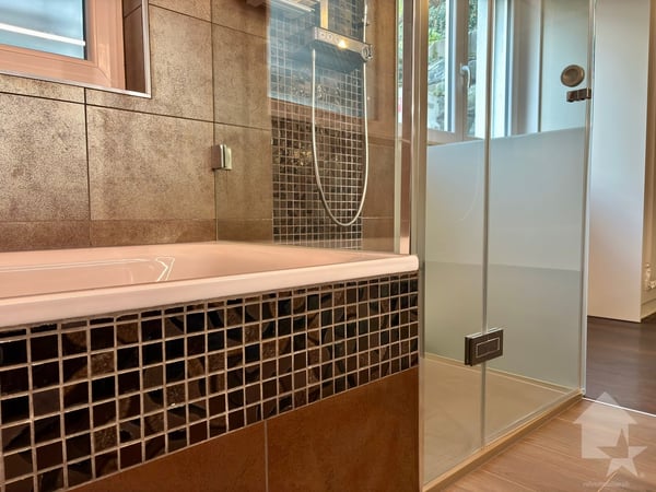 Spacieux 1.5 pièces avec une vue dégagée sur les Alpes 9