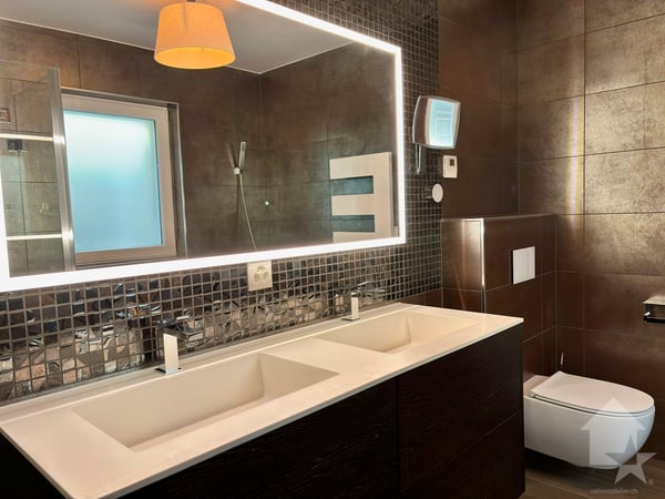 Spacieux 1.5 pièces avec une vue dégagée sur les Alpes 10