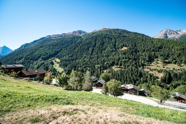 Très belle parcelle idéalement située pour résidence principale 6