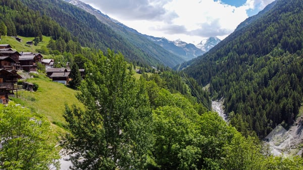 Splendide parcelle à bâtir 5