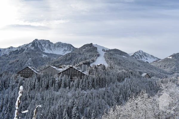 Torgon, lot de 2 appartements mitoyens (2.5+4.5 pces) 1