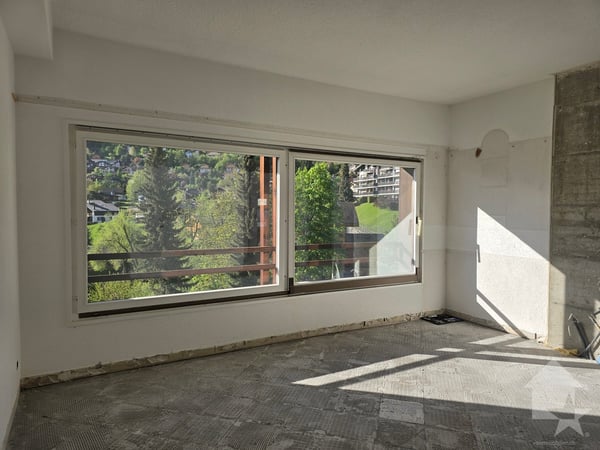 Appartement de 1.5 pièces en cours de rénovation complète - livré neuf 6