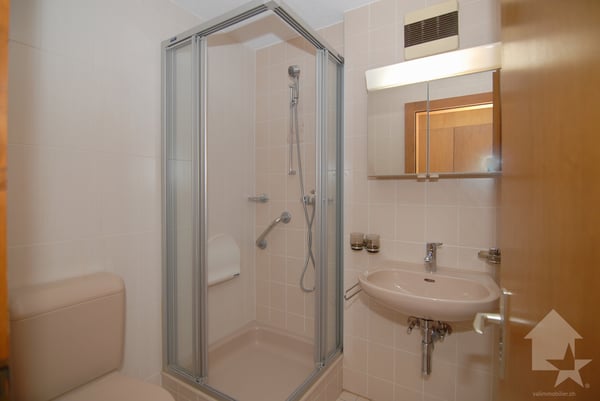 Spacieux appartement en duplex aux Bains de Saillon 13
