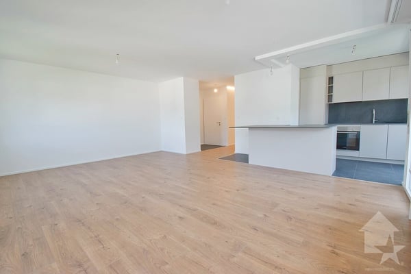 4.5 pièces avec une magnifique vue et 1 place de parc intérieure 7