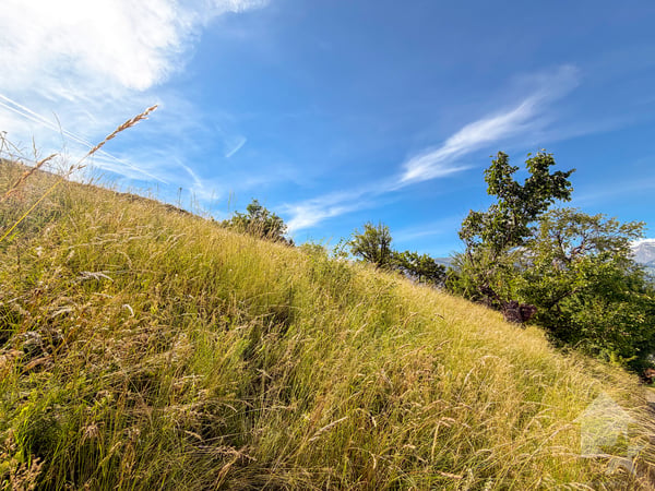 Terrain à bâtir de 625 m² - Vue panoramique sur les Alpes 5