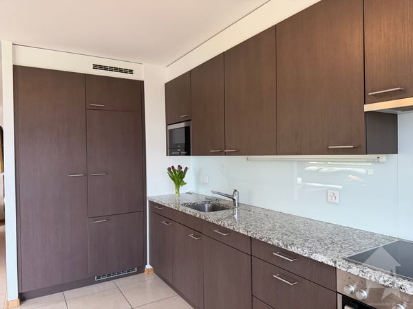 Splendide appartement de 4.5 pièces avec vue sur l'arc alpin ! 7