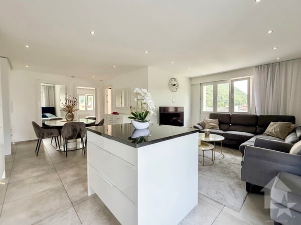 Appartement rénové de 3.5 pces avec place de parc 1