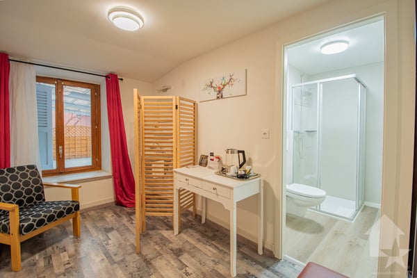 Immeuble mixte avec activités en cours - Le Châtelard (VS) 6