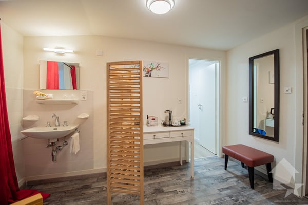 Immeuble mixte avec activités en cours - Le Châtelard (VS) 9