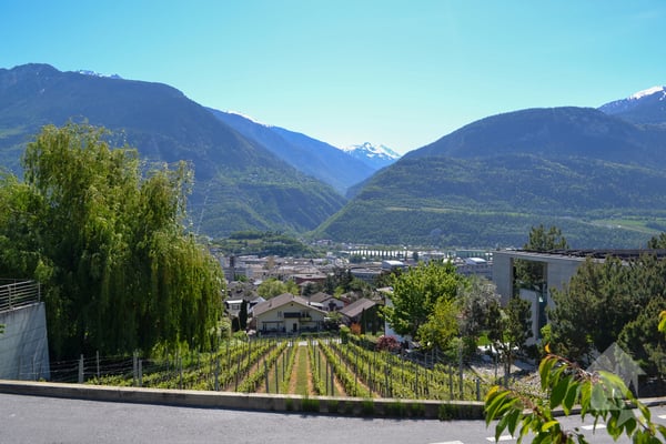Magnifique parcelle surplombant Sierre dans zone villa de 1'099 m2 5