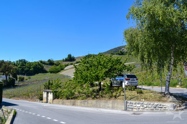 Magnifique parcelle surplombant Sierre dans zone villa de 1'099 m2 7