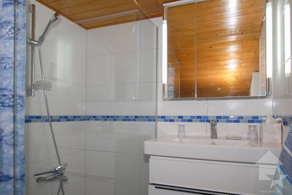 Deux appartements à Anzère avec vue panoramique 9