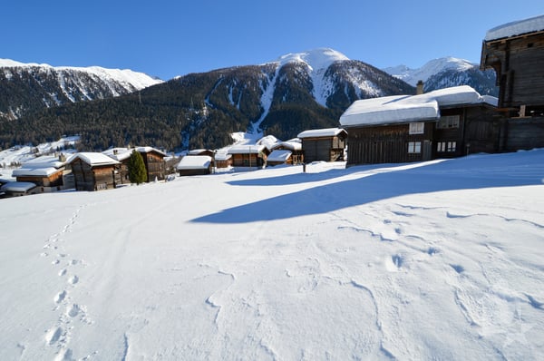 Parcelle à bâtir à Gluringen - Votre rêve d'une maison dans les Alpes! 8