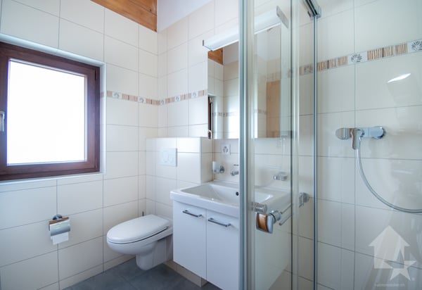 Mollens, appartement 3.5 pces sous les toits, entre nature et montagne 8