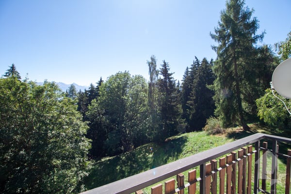 Appartement dans un petit chalet aux Mayens de Conthey 9