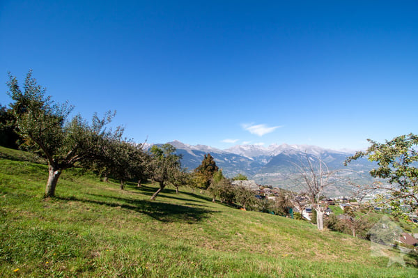 Superbe parcelle de 2'978 m² à bâtir à 5 minutes des pistes 2