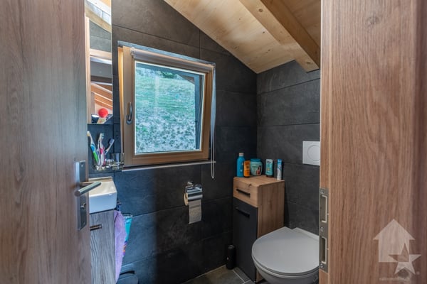 Chalet entièrement rénové avec vue panoramique aux Posses-sur-Bex 10