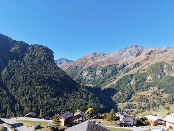 Raccard à rénover dans le hameau de La Forclaz 5