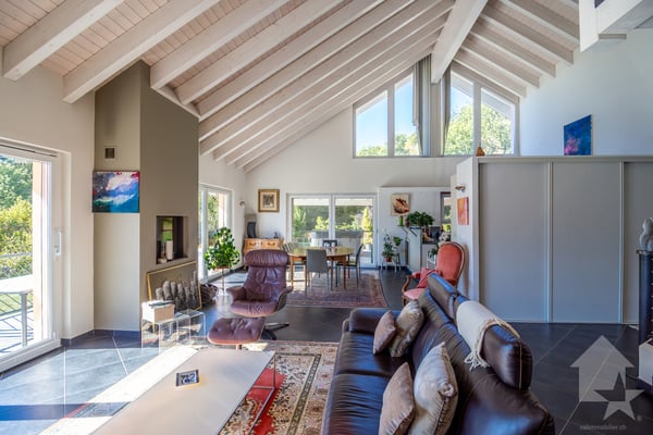 Splendide propriété avec villa de 7.5 pièces de 319 m² habitables 4