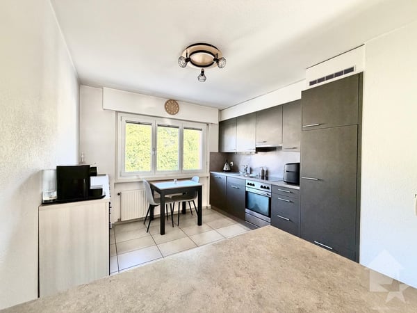 Joli appartement rénové de 90 m² avec garage box et parc ! 5