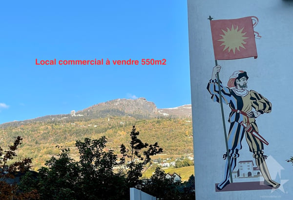 Local commercial de 550 m2 sur 2 niveaux, vendu loué jusqu'à fin 2029 1