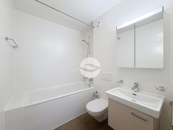 Appartement spacieux, traversant et lumineux de 5 pièces, 3 chambres! 7