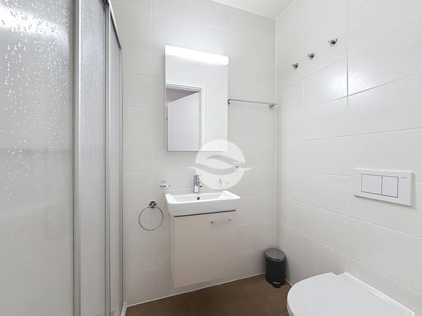 Appartement spacieux, traversant et lumineux de 5 pièces, 3 chambres! 9