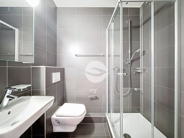 Spacieux appartement au coeur de Florissant, 3 chambres 8