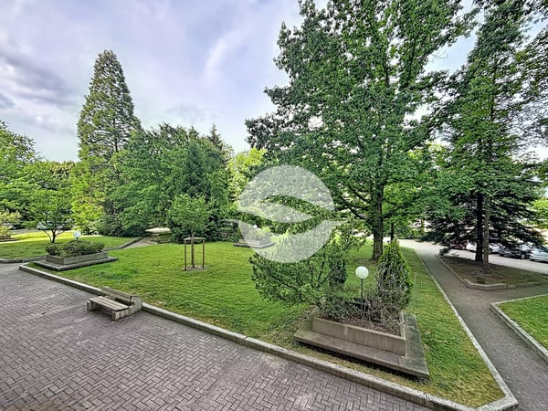 Magnifique 4 pièces dans un quartier calme et résidentiel 6
