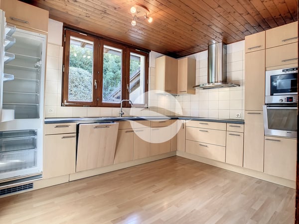 Maison individuelle avec magnifique jardin arboré 2